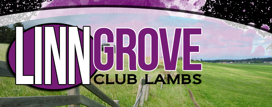 Linn Grove Club Lambs