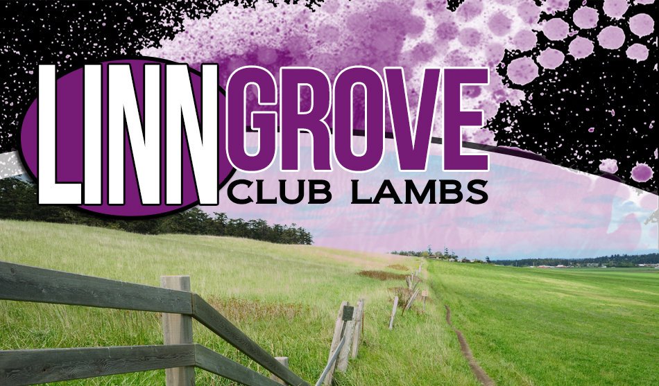 Linn Grove Club Lambs