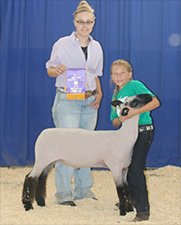 Linn Grove Winner